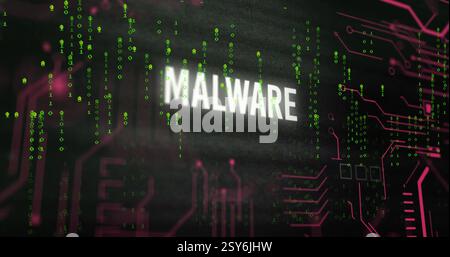 Image of malware text over network and binary data processing on black background Stock Photo