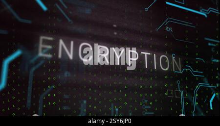 Image of encryption text over network and binary data processing on black background Stock Photo