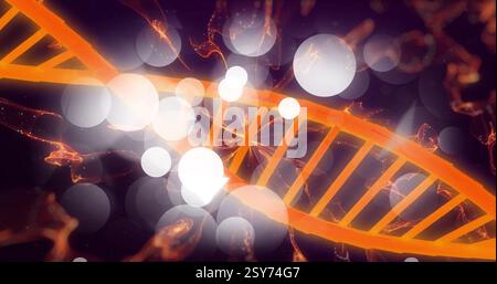 Image of dna strand spinning over dark background Stock Photo