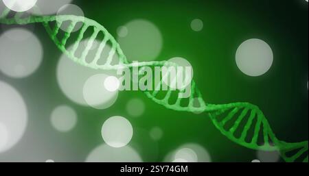 Image of dna strand spinning over dark background Stock Photo