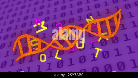 Image of dna strand, binary coding and data processing over purple background Stock Photo