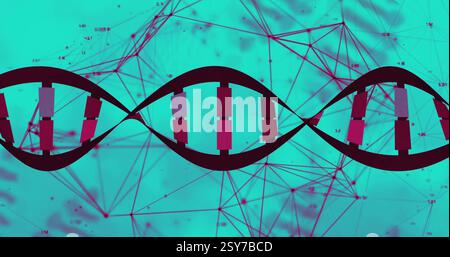DNA double helix image over network of connections and data points Stock Photo