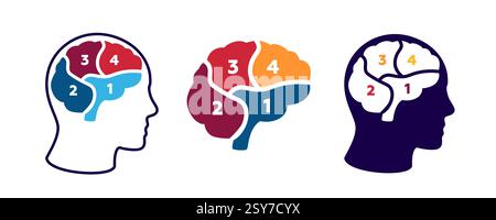 Diagram of the brain with numbered sections in three different artistic styles Stock Vector