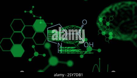 Image of data processing and brains over chemical formula on black background Stock Photo