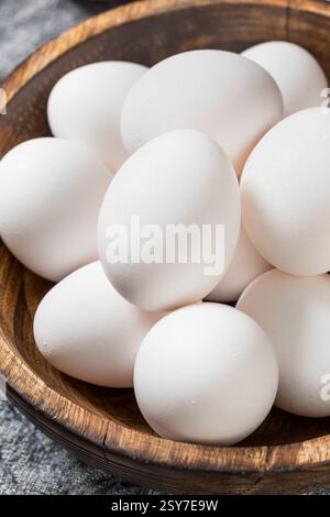 Organic Cage Free White Eggs in a Bowl Stock Photo