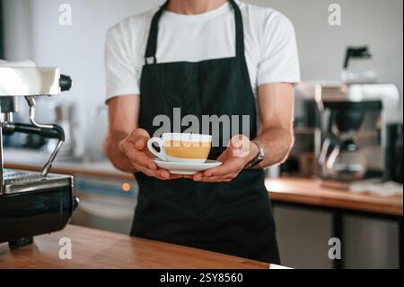 Cup is in the hands. Cafe worker in white shirt and black apron is indoors. Stock Photo