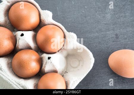 Eierkarton, Eier im Karton, Eier, rohe Eier, Braune Eier, ein halbes Dutzend, Sechs Stock Photo