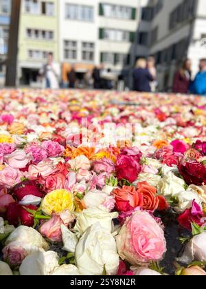 A pool of flowers in Zurich city in springtime Stock Photo