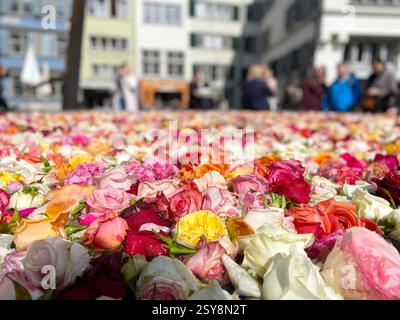 A pool of flowers in Zurich city in springtime Stock Photo