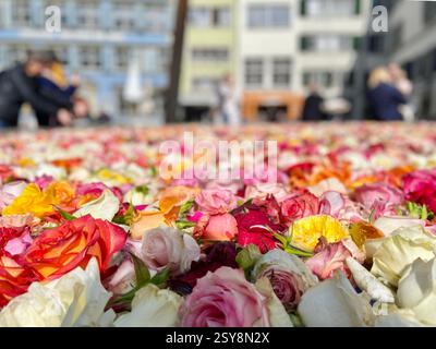 A pool of flowers in Zurich city in springtime Stock Photo