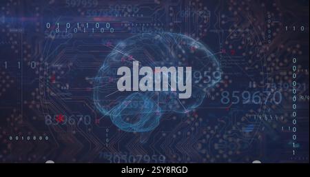 Image of data processing with digital brain over computer circuit board on black background Stock Photo