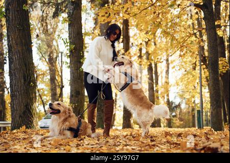 Playing, having fun. Woman on the walk with her two dogs in the autumn forest. Stock Photo