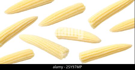 Yellow baby corn cobs in air on white background Stock Photo