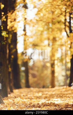 Beautiful autumn forest with yellow fallen leaves. Majestic background. Stock Photo