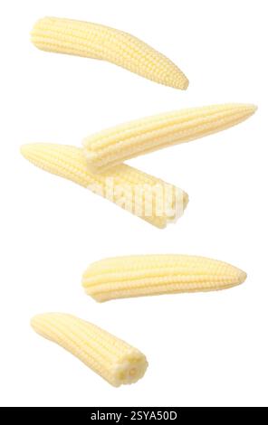 Yellow baby corn cobs in air on white background Stock Photo