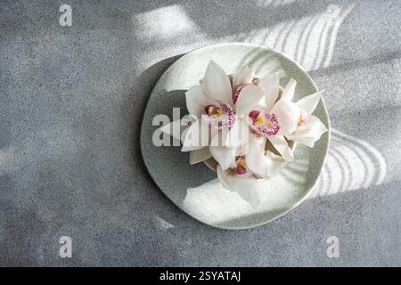 A cluster of delicate white orchids with pink centers rests gracefully on a round plate, casting soft shadows on a textured gray surface, creating an Stock Photo