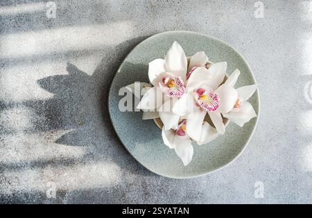 A delicate arrangement of white orchids with pink centers neatly placed on a pale green ceramic plate, set against a textured, sunlit backdrop creatin Stock Photo