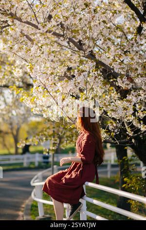 A serene scene of a person in a red dress enjoying the beautiful sakura blossoms. The soft sunlight enhances the vibrant flowers and tranquil atmosphe Stock Photo