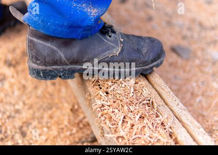 Cropped unrecognizable man working on a farm in the rural Colombian countryside, stepping on a freshly sawn log, highlighting the textures of wood and Stock Photo