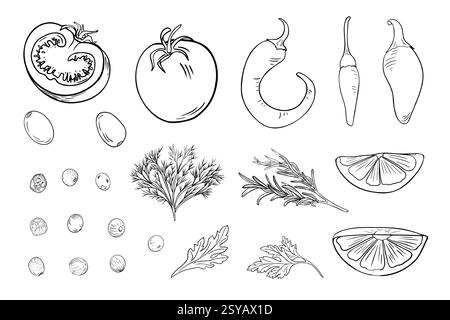 Vegetables black white vector illustrations set. Jalapeno, hot peppers, herbs and peppercorns monochrome simple drawing. Lemon and olives, tomatoes in Stock Vector