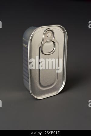 A shiny, closed metallic food can stands upright on a gray surface. The can is designed to store food, with a pull tab on top for easy opening, emphas Stock Photo