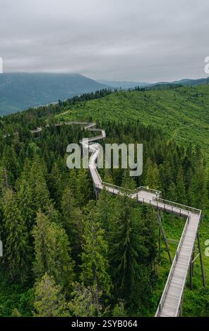 An aerial view of an elevated wooden walkway meanders through lush green forests of Bachledka in Slovakia, opposite the scenic Belianske Tatras, provi Stock Photo