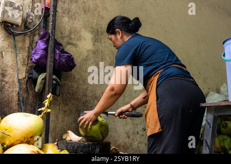 An asian woman skillfully opens a fresh coconut using a tool against a rustic, textured wall. The natural setting highlights the traditional technique Stock Photo