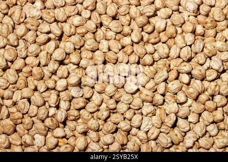 Top view of a full frame of fresh raw chickpeas offering a natural texture and pattern, ideal for food backgrounds. Stock Photo
