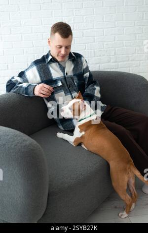 A young man in a plaid shirt sits comfortably on a grey sofa with a brown and white dog resting beside him, showing a moment of bonding at home. Stock Photo