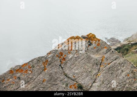A close-up of a rocky cliffside covered in patches of orange moss in Finisterre. The cliff overlooks a misty ocean view, creating a serene and atmosph Stock Photo