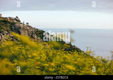 View of two hikers standing on a rocky hilltop in Finisterre overlooking the sea, surrounded by blooming yellow wildflowers with a partly cloudy sky i Stock Photo