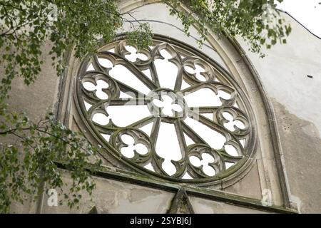 Tracery rosette on the Wachau church ruins, Markkleeberg, Saxony, Germany, Europe Stock Photo