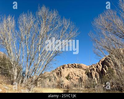 Leafless trees with rugged rock formations under a clear blue sky Stock Photo