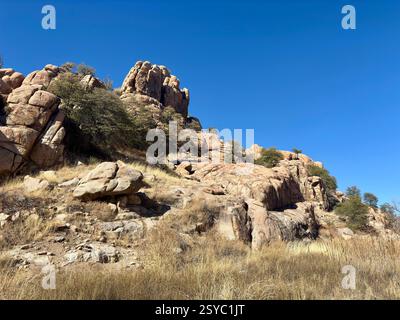 Rocky hillside with dry grass, scattered trees under clear blue sky Stock Photo