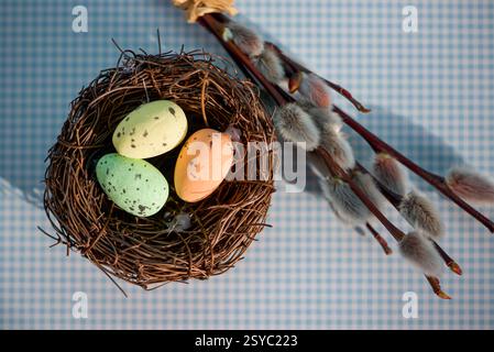 colored easter eggs in a nest on a blue backgroun Stock Photo