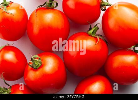 Juicy and healthy tomatoes with a glossy surface, reflecting light and showcasing their ripeness. Stock Photo