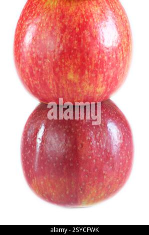 Two red apples of the Pink Lady variety. Very tasty. Stock Photo