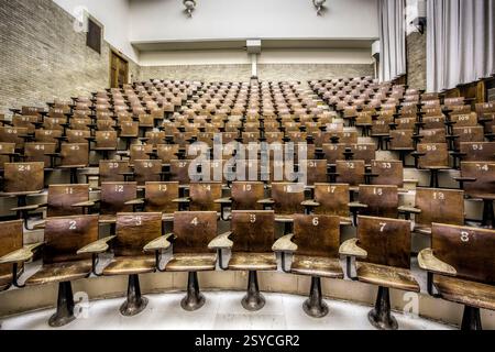 Row of wooden chairs in a classroom. The chairs are numbered from 1 to 12 Stock Photo
