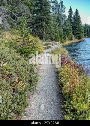 A dirt hiking path runs alongside a calm lake, surrounded by lush greenery and evergreen trees. A small wooden bridge crosses the path, leading into t Stock Photo