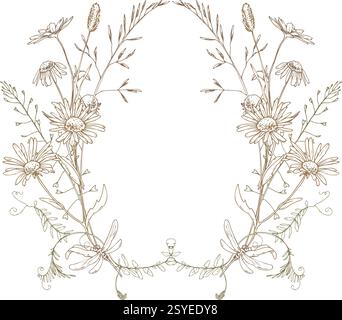 Field, meadow, wild flowers and herbs chamomile, meadow bluegrass and dragonfly. Line art is a simple hand-drawn illustration in beige, ochre, brown Stock Vector