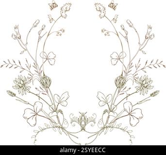 Field, meadow, wild flowers and herbs clover with shepherd s purse, pollen. Line art is a simple hand-drawn illustration in beige, ochre, brown ink Stock Vector