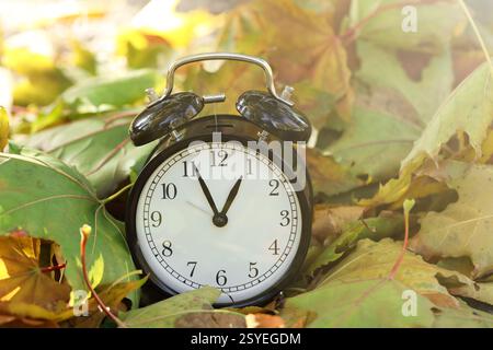 Autumn time. Alarm clock among fallen leaves, closeup Stock Photo