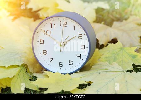 Autumn time. Alarm clock among fallen leaves on green grass, closeup Stock Photo