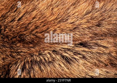 noble background with faux fur. Color of the year Stock Photo