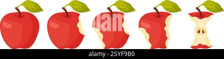 Red juicy apple eating steps icon set. Stages of biting ripe apple from whole to half and core, bite progression. Hand drawn flat style isolated. Bitten apple fresh garden fruit Vector illustration Stock Vector