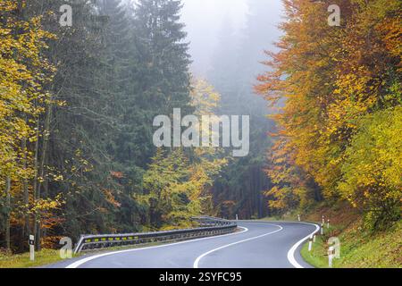 A winding road through a colored forest in a foggy autumn landscape. Stock Photo