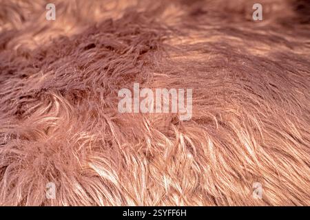 beautiful noble background with faux fur. Color of the year Stock Photo