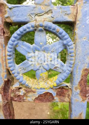 Decorative Old Rusted Wrought Ironwork Flower with Peeling Paint  and Lichen On a Ruined Manor House Gate, England Stock Photo