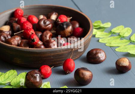 Autumn chestnuts and red berries in a bowl on a wooden table. Stock Photo