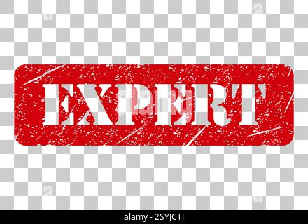 Expert stamp symbol, label sticker sign button, text banner vector illustration . Stock Vector